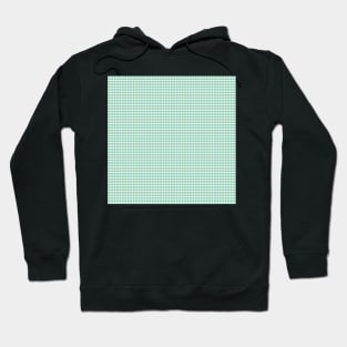 Gingham Pattern - Mint Green and Aqua Blue Hoodie